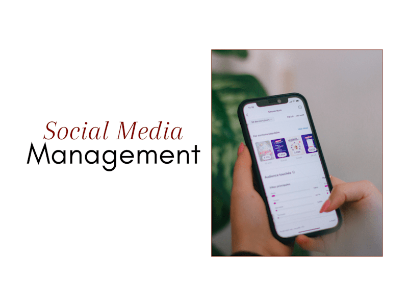 Cover image for Social Media Management