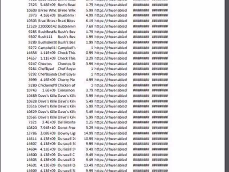 Cover image for Rhunner Store Data Entry