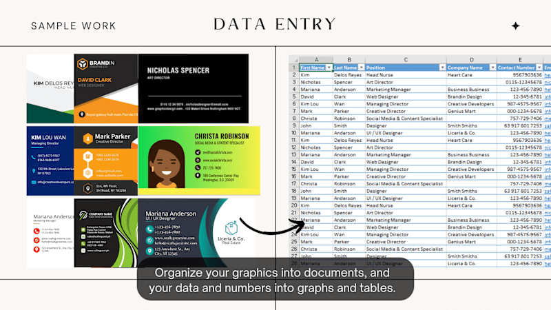 Cover image for Data Entry