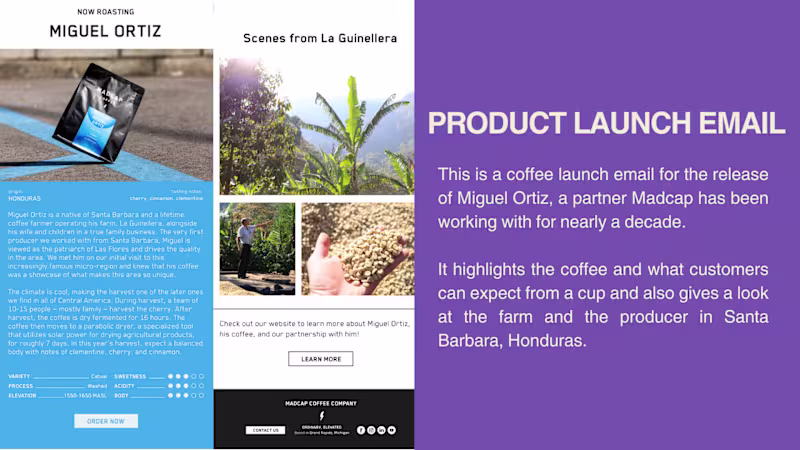 Cover image for Examples of bi-weekly newsletter sends to segmented audiences