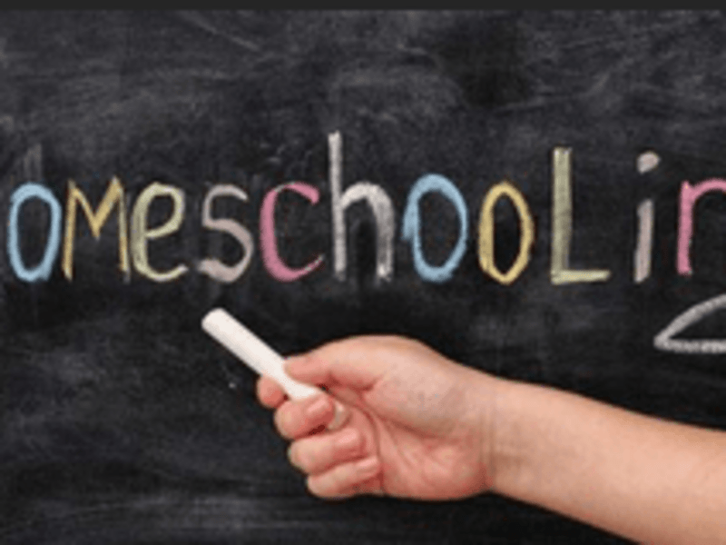 Cover image for Homeschooling / Homework