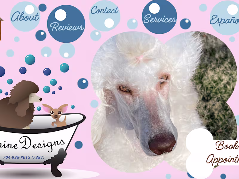 Cover image for Creative Marketing Solutions