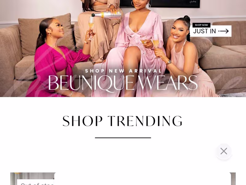 Cover image for Professional Frontend Developer 