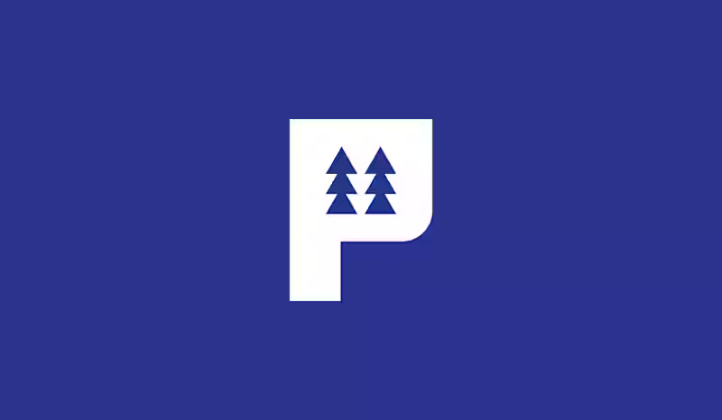 Cover image for Pinehill Trading, Dubai - Brand identity design