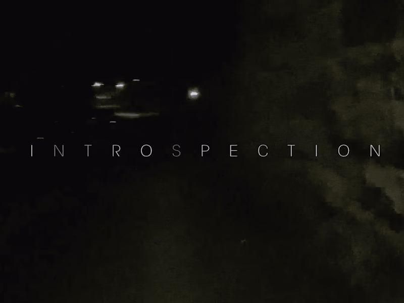 Cover image for Introspection
