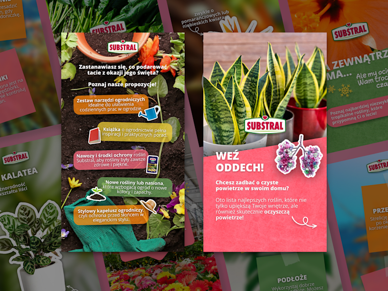 Cover image for Gardening - social media management