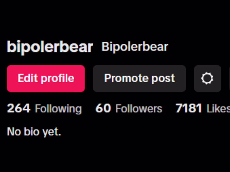 Cover image for Tik Tok creator