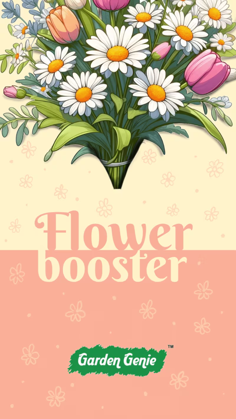 Cover image for product packeging