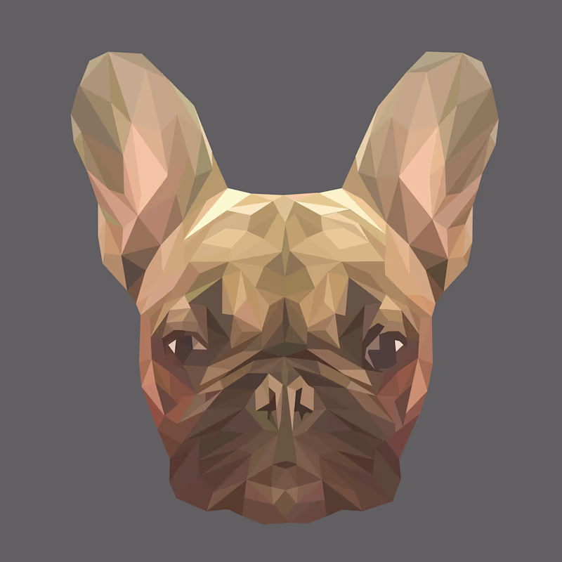 Cover image for Illustrations :: Behance