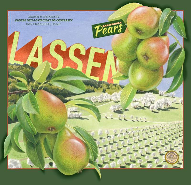 Cover image for Ad Typography 