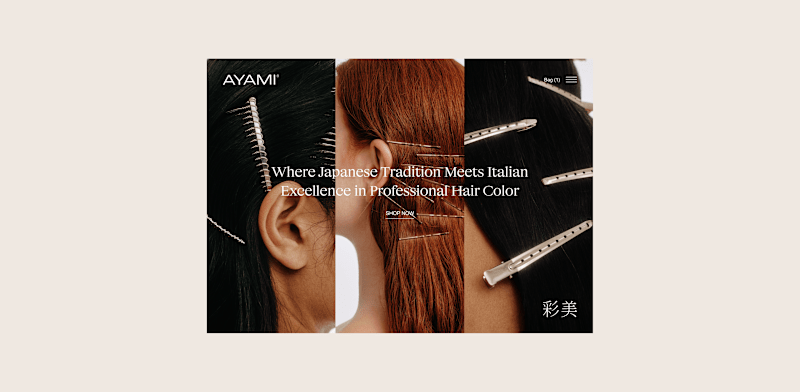 Cover image for Web Design for Haircare Brand