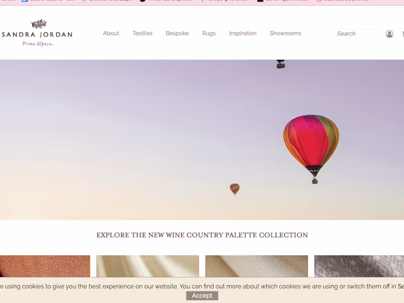 Cover image for Sandra Jordan Prima Alpaca