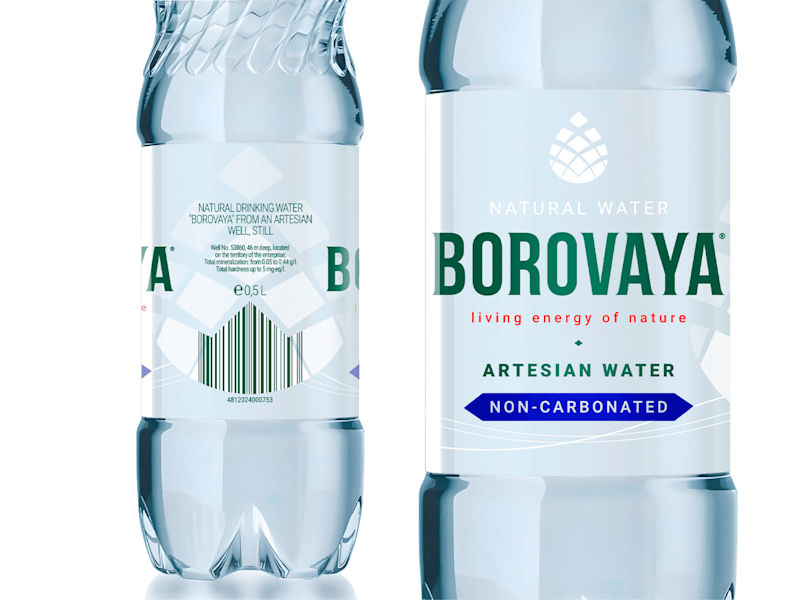 Cover image for Borovaya