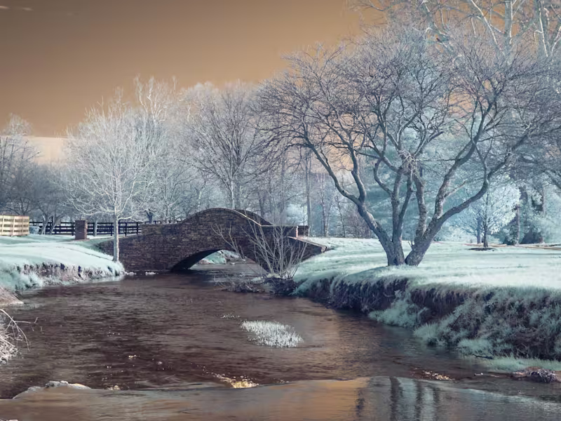 Cover image for Nostalgia for Kentucky