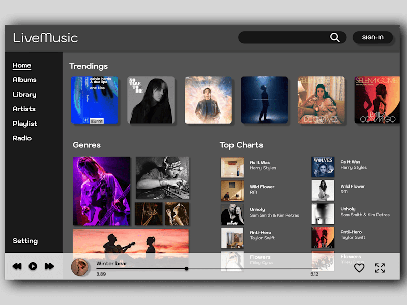 Cover image for Music player