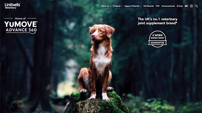 Cover image for Advanced E-Commerce Analytics with GA4/GTM