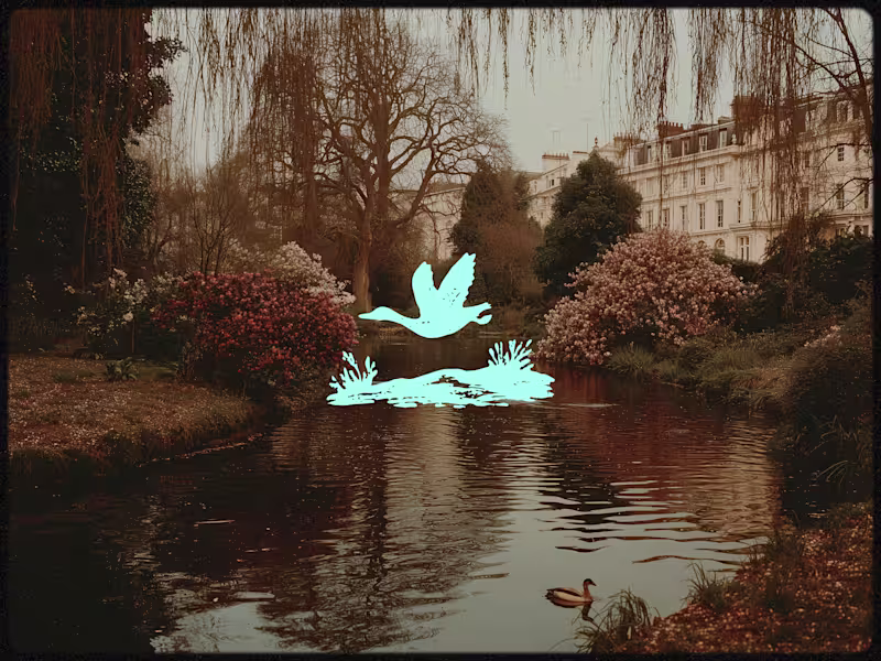 Cover image for Another vector done.