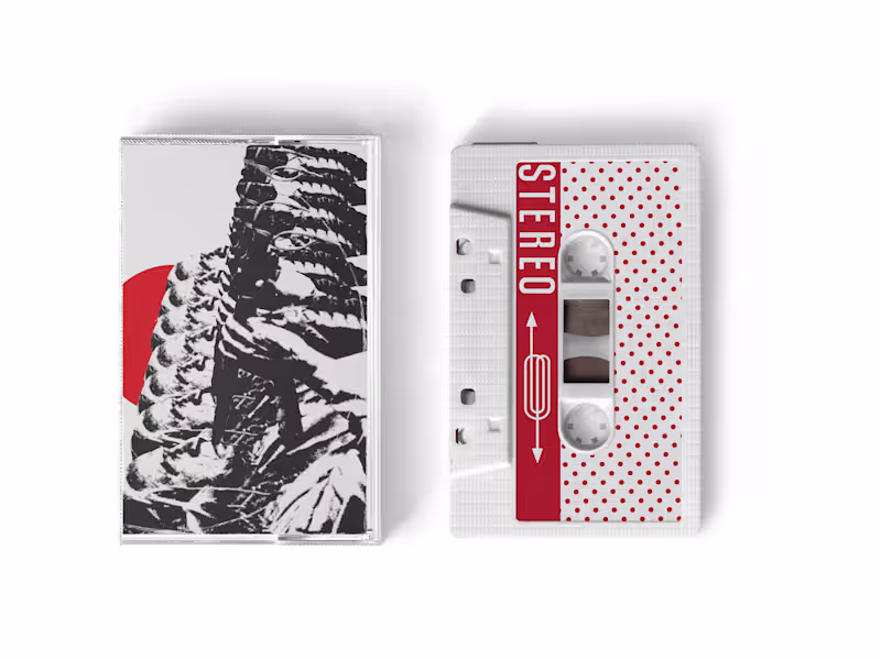 Cover image for Album Cover Design and Artist related Visuals 