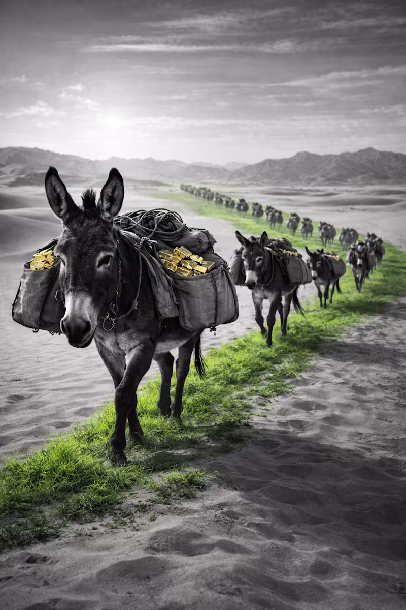 Cover image for Deterministic Smart Contract Architecture