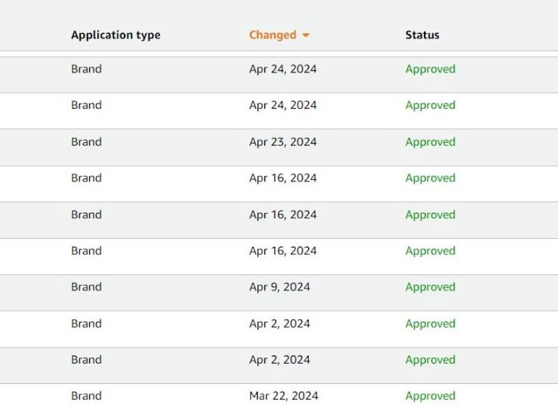 Cover image for Brand Approvals Amazon Wholesale