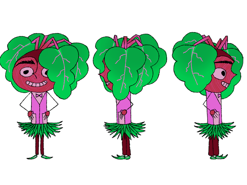 Cover image for Character Designs