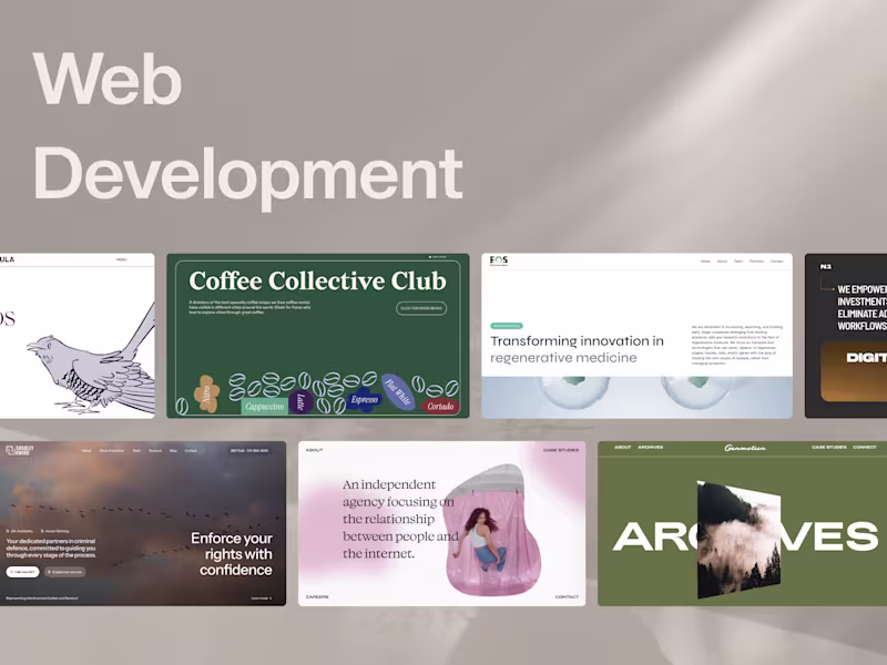 Cover image for Webflow Development