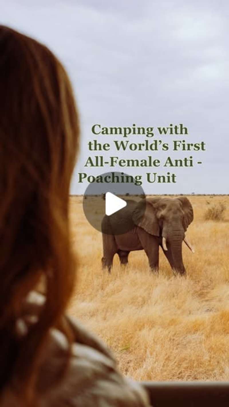Cover image for Black Mambas - Intrepid Travel