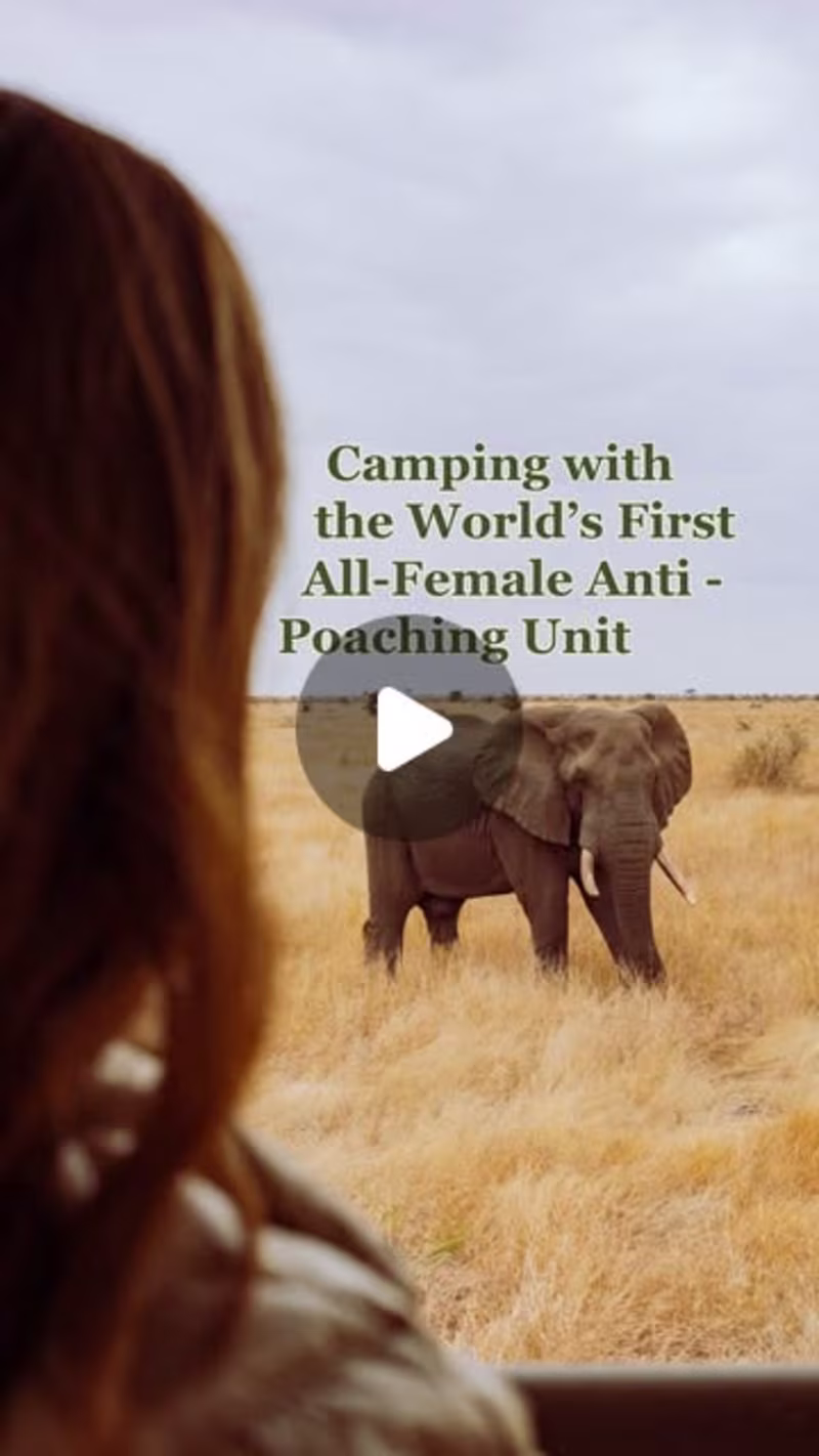 Cover image for Black Mambas - Intrepid Travel