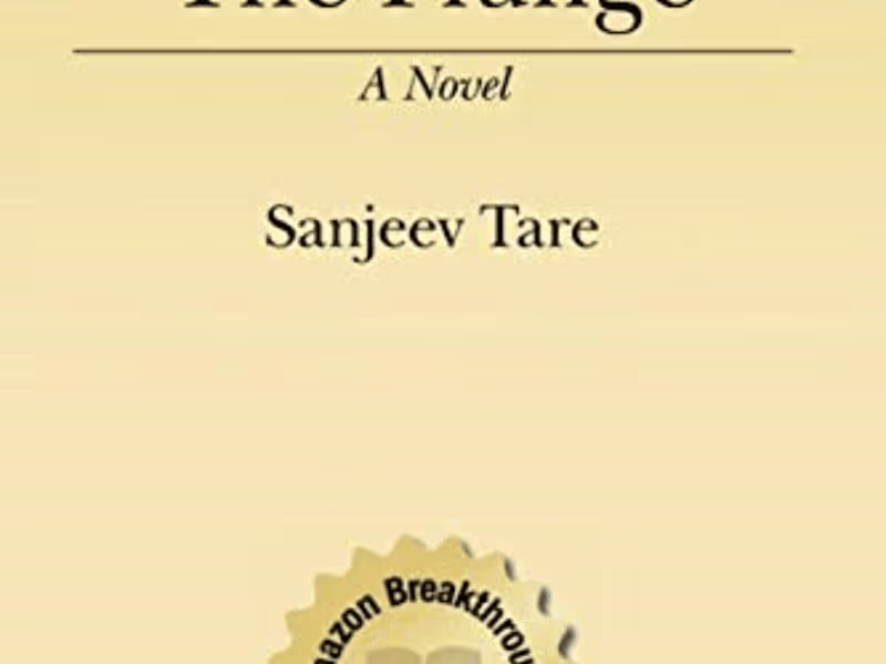 Cover image for The Plunge, A novel