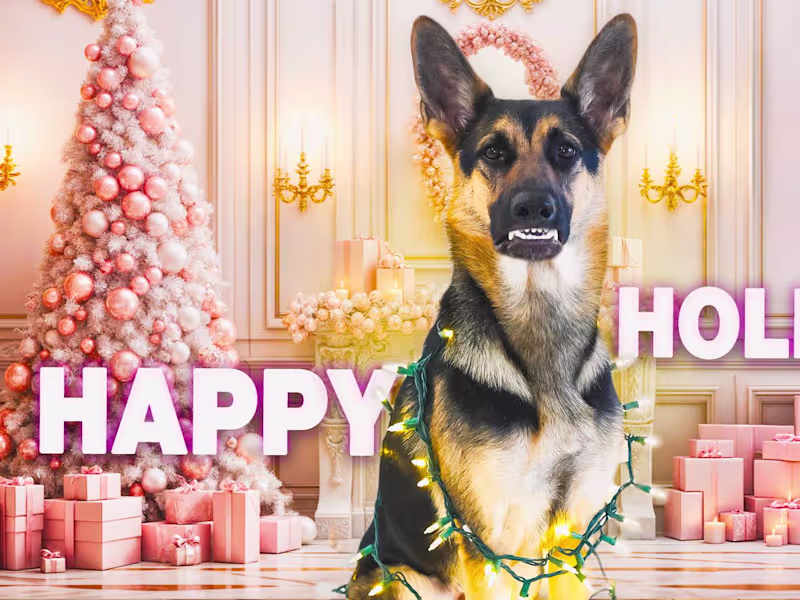 Cover image for Photoshop Retouching 