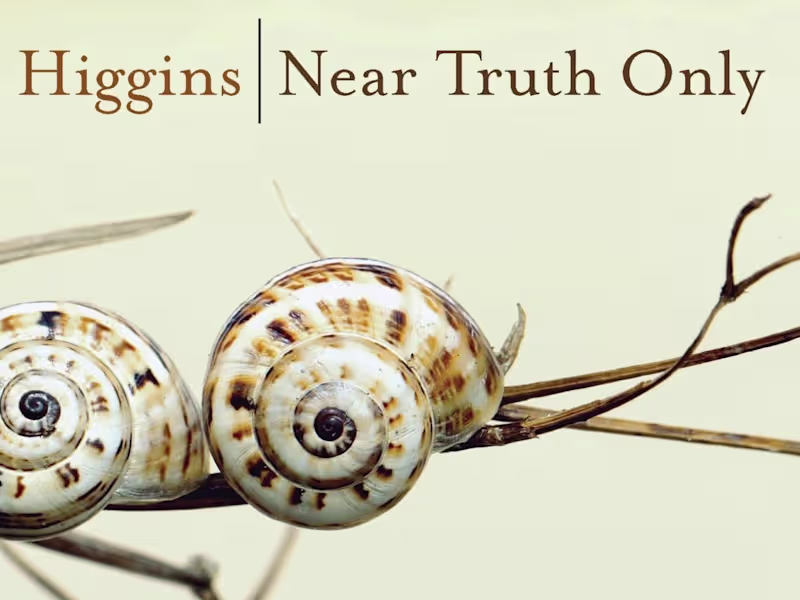 Cover image for Poetry Book Developmental and Copy Editing