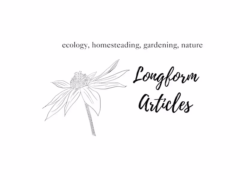 Cover image for Researched Educational Articles