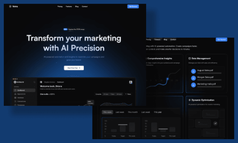 Cover image for Vetra Landing Page