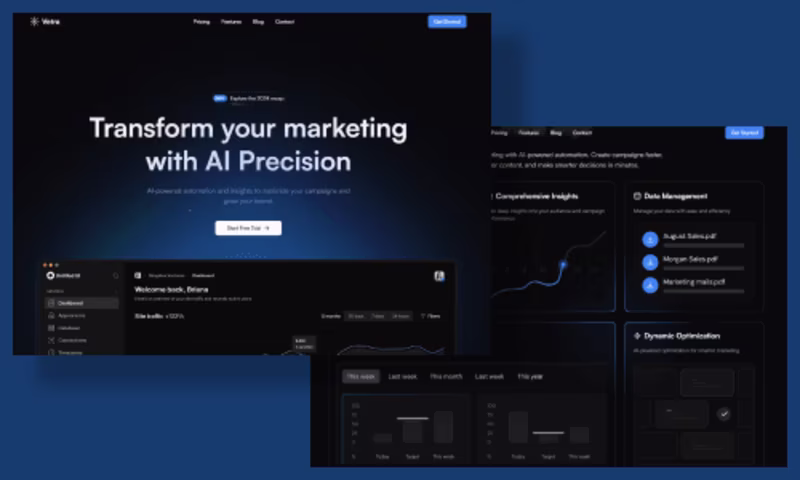 Cover image for Vetra Landing Page