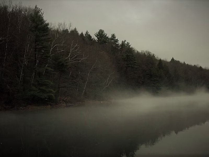 Cover image for Nightswimming