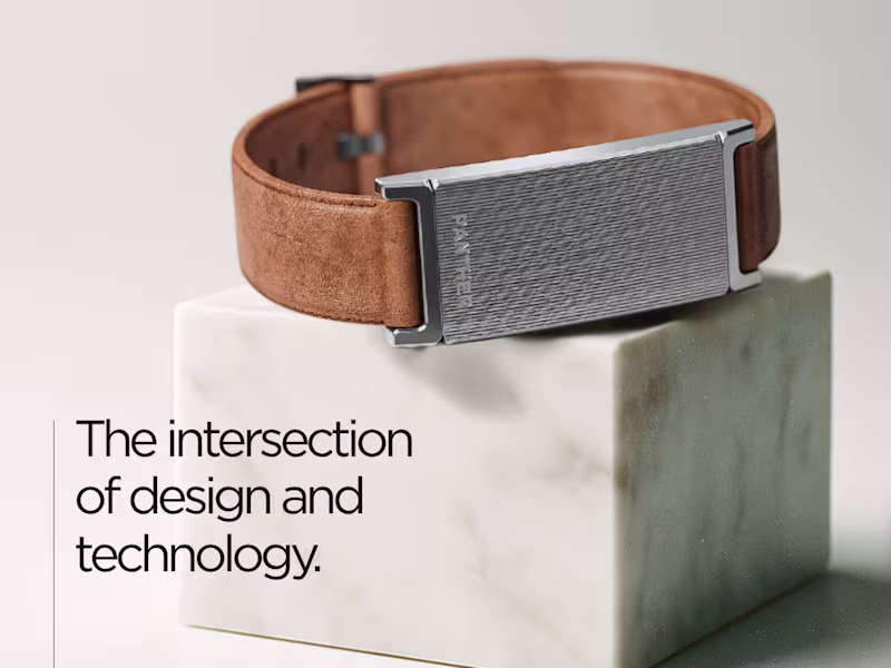 Cover image for PANTHER ADS