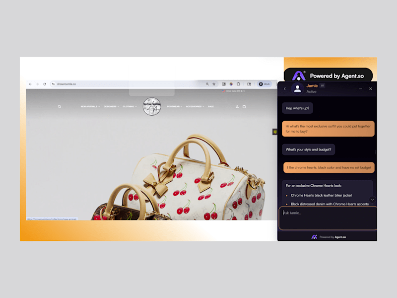 Cover image for AI Customer Support Agent for ShowroomLA