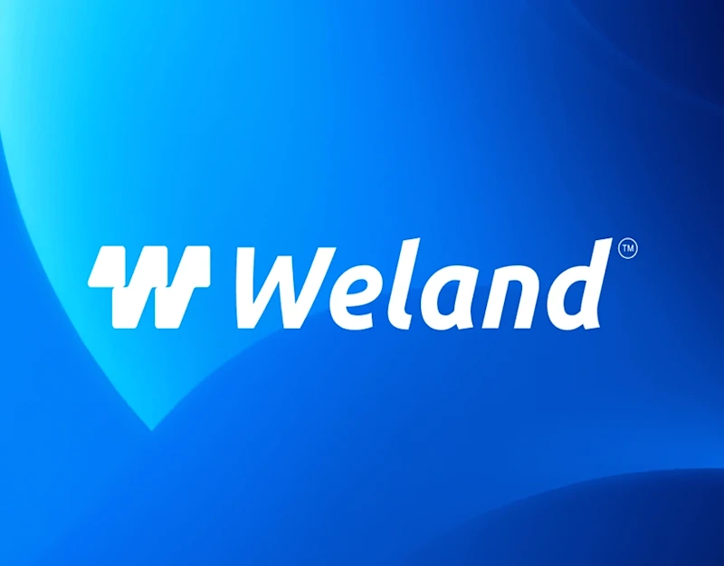 Cover image for Weland | Visual Brand Identity | Branding