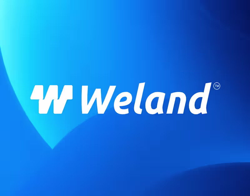 Cover image for Weland | Visual Brand Identity | Branding