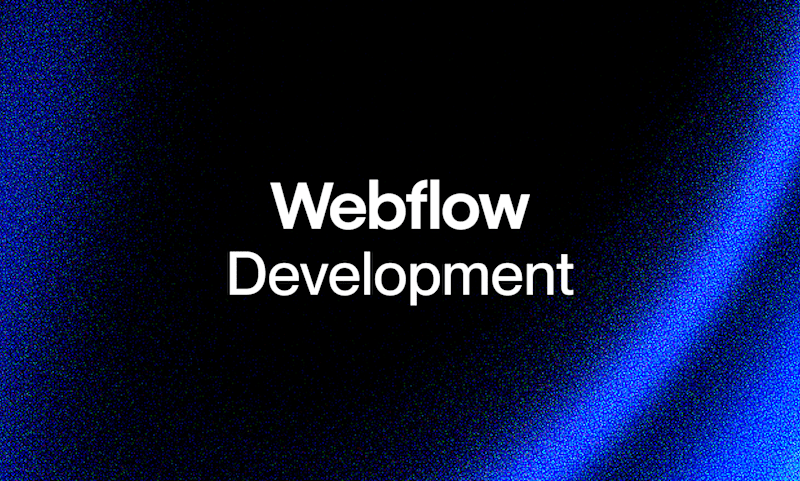 Cover image for Webflow Development