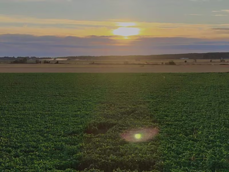 Cover image for Writing skills