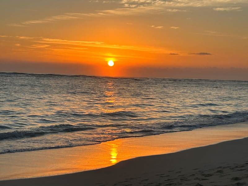 Cover image for Top 5 Bradenton places to visit
