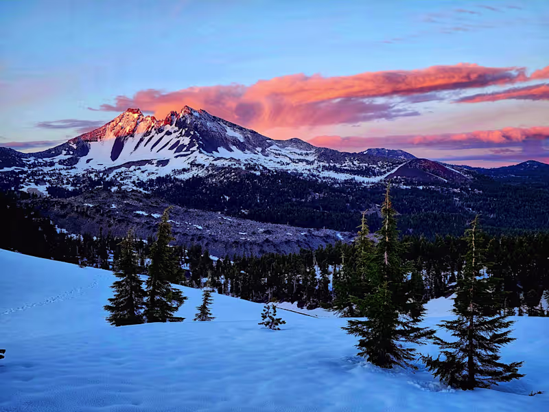 Cover image for Net Promoter Transformation for E-commerce Brand