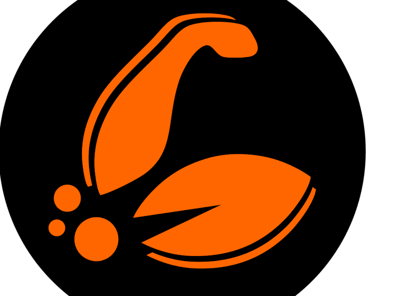 Cover image for Nutrigo 