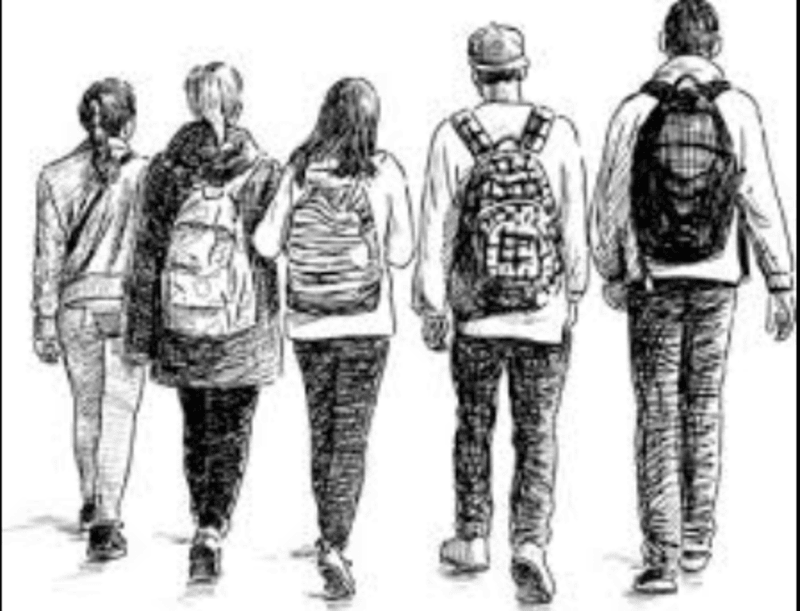 Cover image for What Teenagers Should Do?