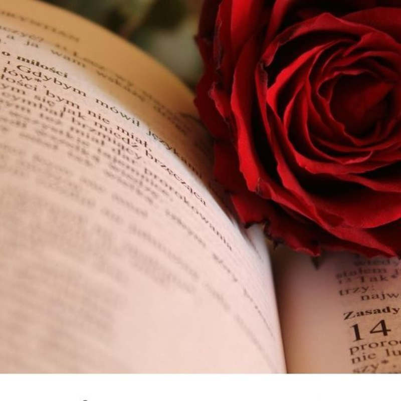 Cover image for Book Editing Associates on Instagram: “READ: “10 Tips For Writi…
