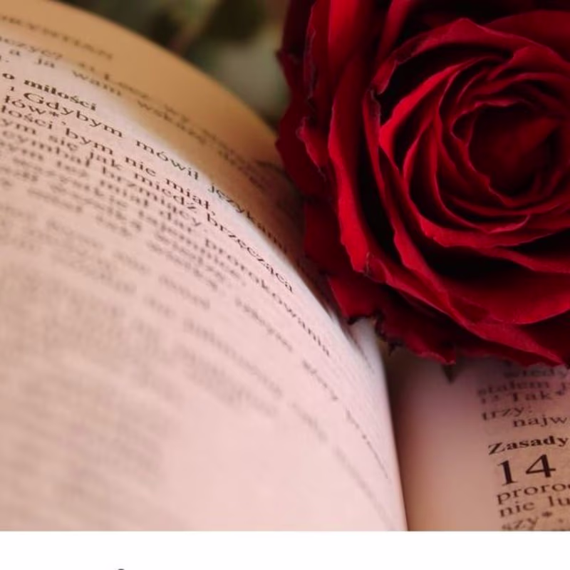 Cover image for Book Editing Associates on Instagram: “READ: “10 Tips For Writi…