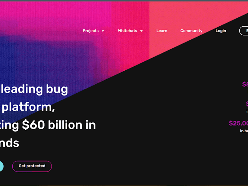 Cover image for immunefi bug