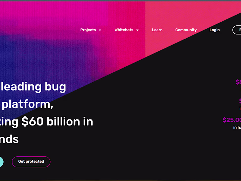 Cover image for immunefi bug