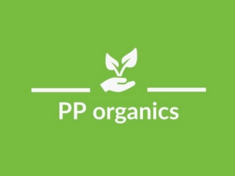 Cover image for Website creation
